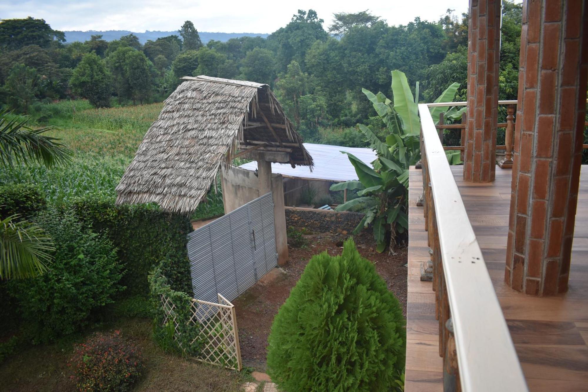 Kilimanjaro Accommodation Msaranga Екстериор снимка